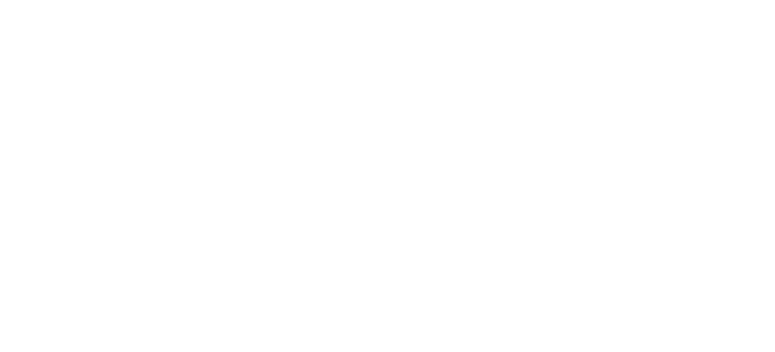 Carreiras Policiais